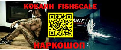 дживик Моздок