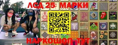 дживик Моздок