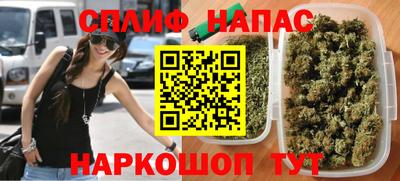 дживик Моздок