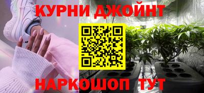 дживик Моздок