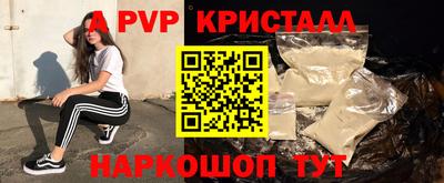дживик Моздок