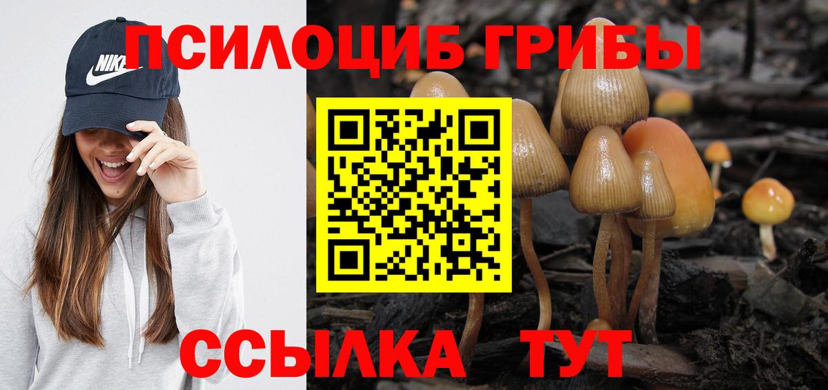 Галлюциногенные грибы прущие грибы  Вход с VPN  наркота  Псилоцибиновые грибы MAGIC MUSHROOMS  Уссурийск 